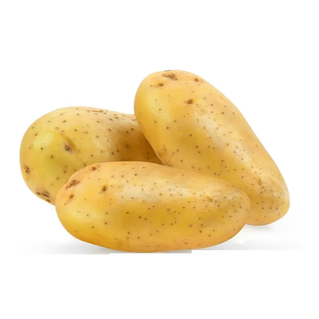 Pomme de terre blanche 1Kg - FILIERE M