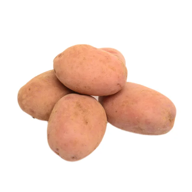 [00000298] Pomme de terre frite rouge 1Kg - FILIERE M