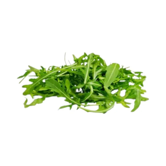 [00000301] Roquette 100g
