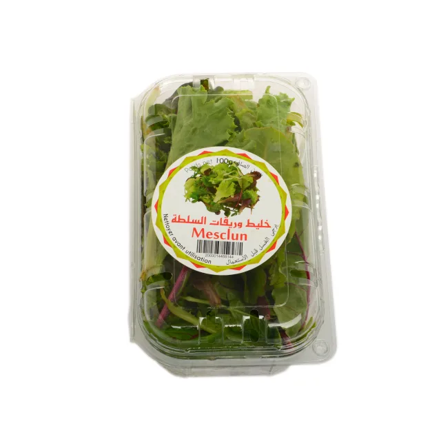 [00000302] Salade mesclun 100g