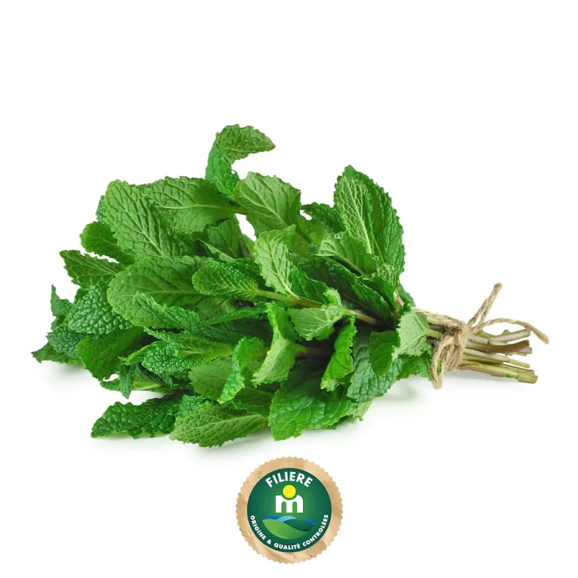 [00000307] Menthe en sachet - FILIERE M