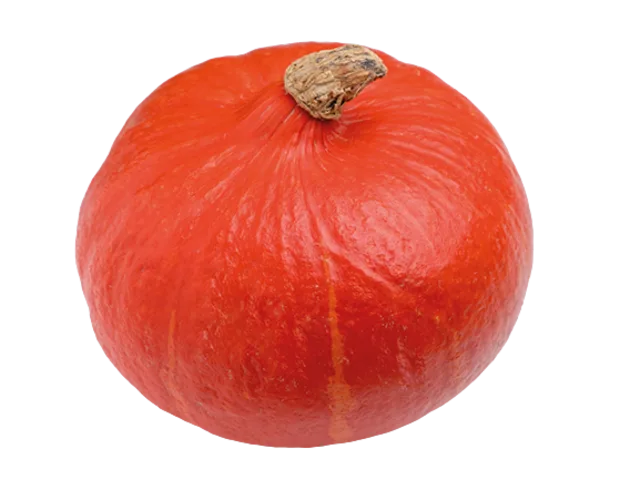 [00000313] Courge orange 500g