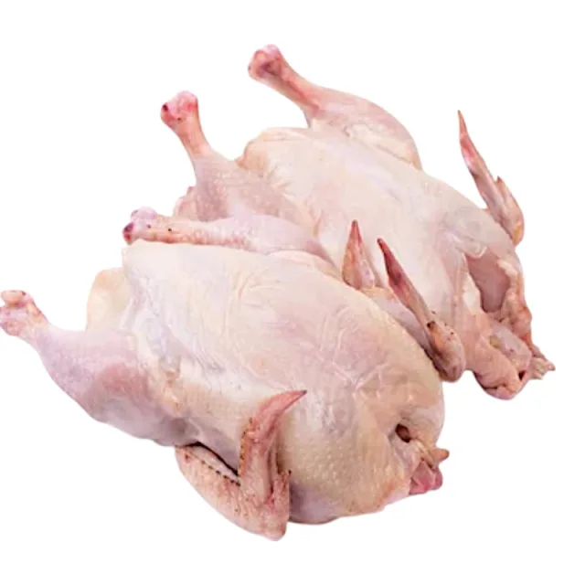 [00000348] Coquelet x2 (environ 600g)